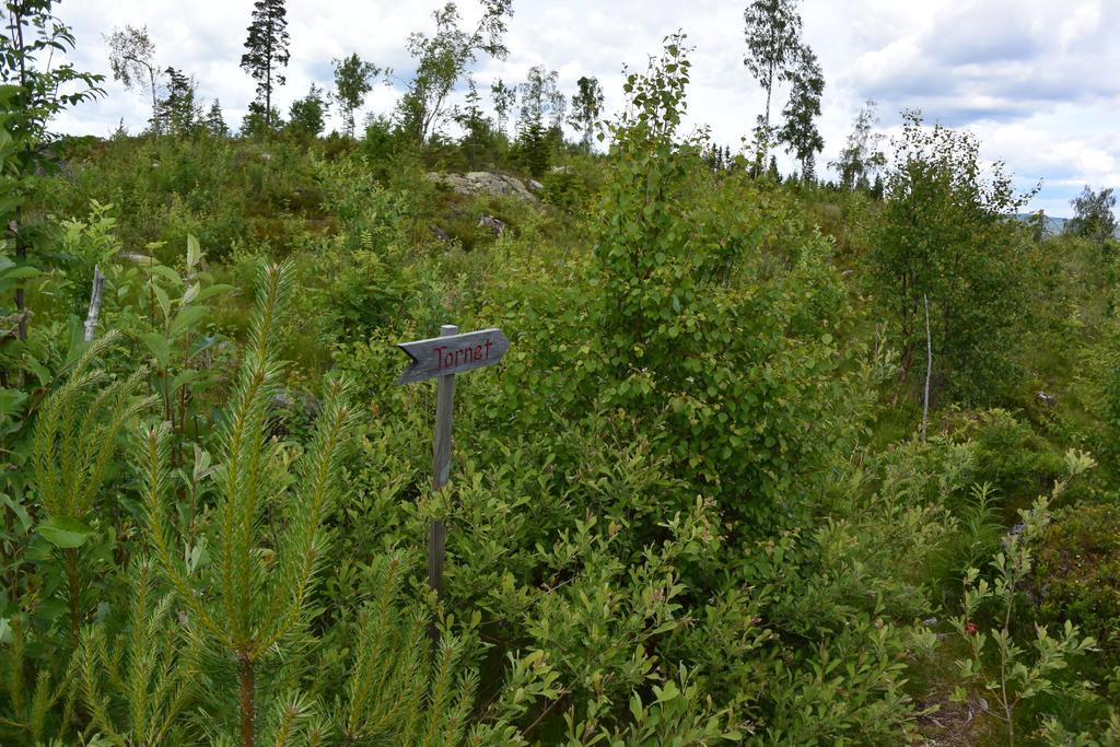 Mieps Huset Dalarna Holiday Kullen  Buitenkant foto