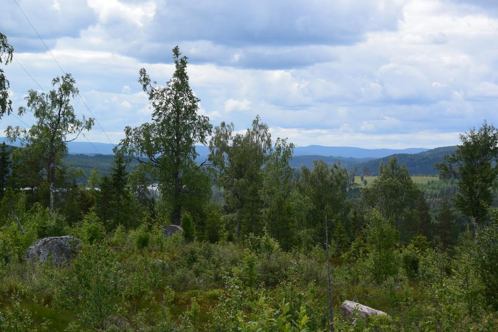 Mieps Huset Dalarna Holiday Kullen  Buitenkant foto